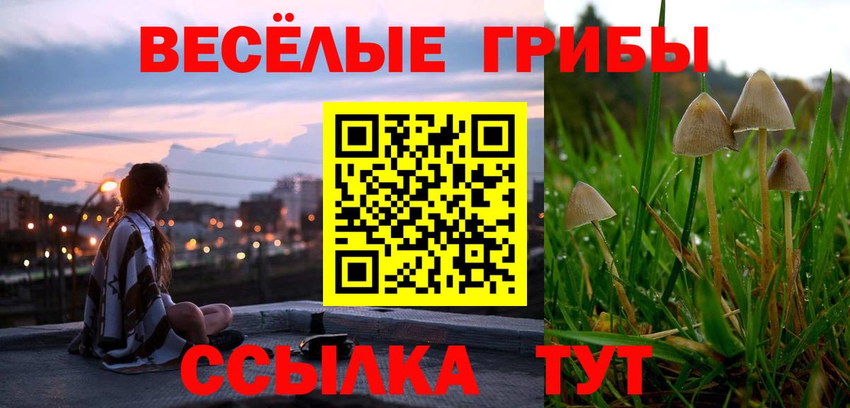 Обь  Псилоцибиновые грибы ЛСД  Вход с VPN 